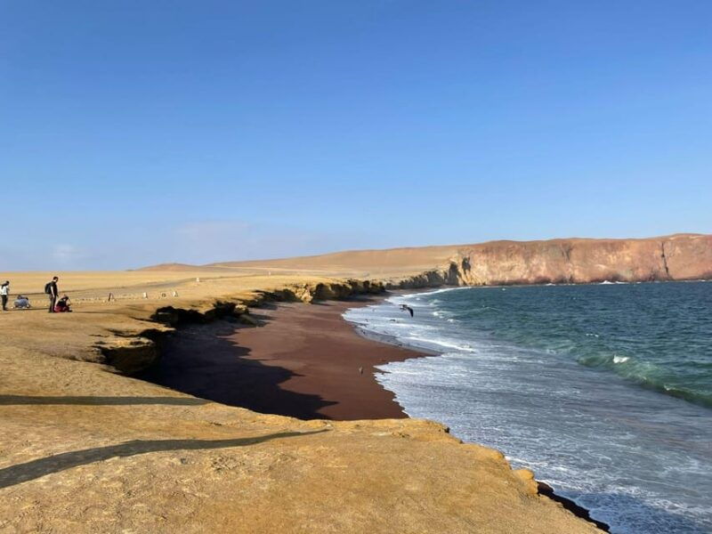 full-day-paracas-ica