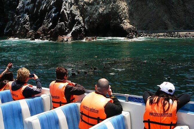 full-day-paracas-islas-ballestas-with-sandboarding-and-dune-buggy