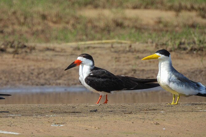 full-day-paraguay-river-nature-and-wildlife-boat-tour