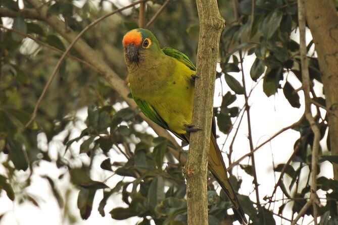 full-day-paraguay-river-nature-and-wildlife-boat-tour