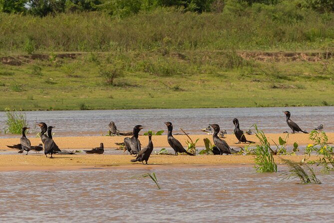full-day-paraguay-river-nature-and-wildlife-boat-tour