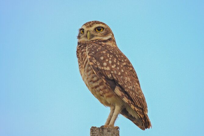 full-day-paraguay-river-nature-and-wildlife-boat-tour