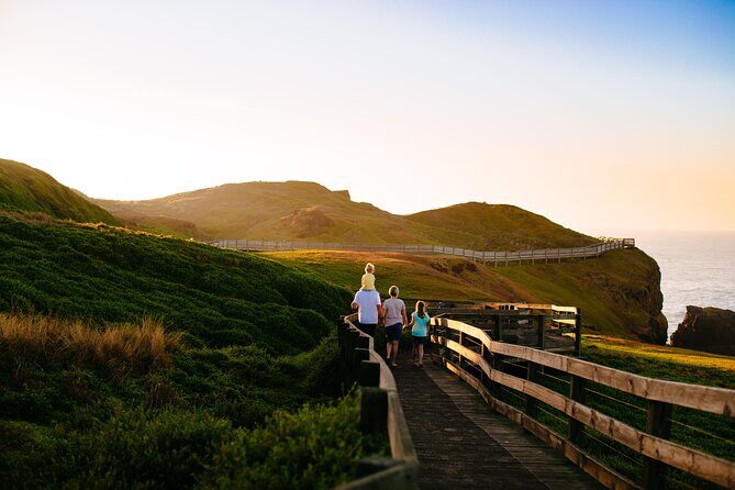 Full-Day Penguins and Wildlife Nature Experience from Melbourne - What Makes This Tour Stand Out?