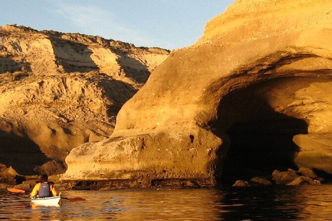 full-day-peninsula-valdes-optional-whales-watching-navigation