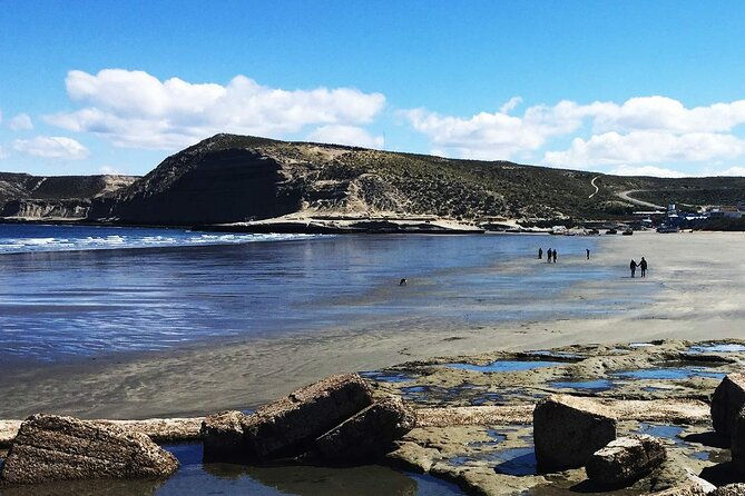 full-day-peninsula-valdes-optional-whales-watching-navigation