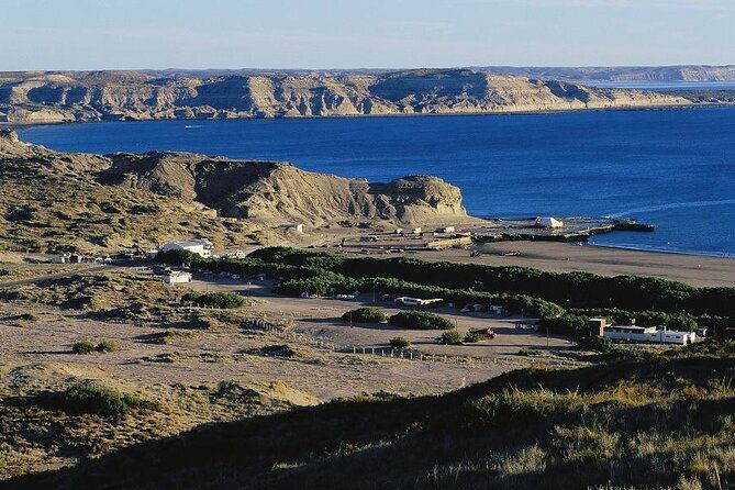full-day-peninsula-valdes-optional-whales-watching-navigation