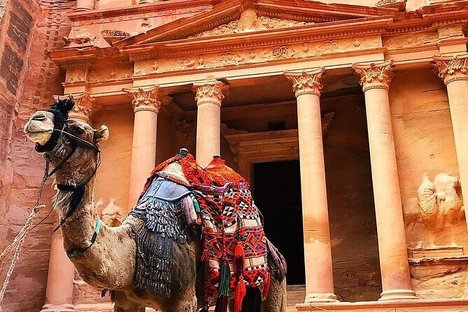 Full Day Petra and Wadi Rum Tour from Amman - Key Points