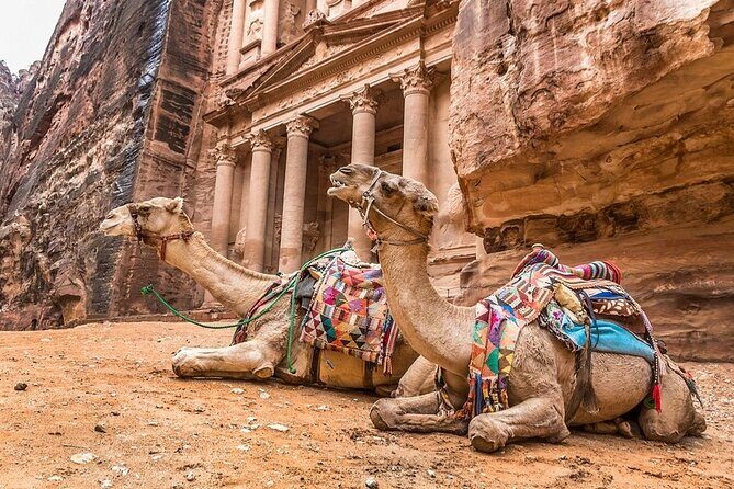 Full Day Petra and Wadi Rum Tour from Amman - Final Thoughts