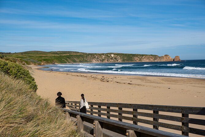 Full-Day Phillip Island Tour with Kangaroo, Koala and Penguin Parade - Considerations and Drawbacks