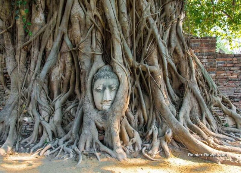 Full day - Phra Nakhon SiAyutthaya Temples with Photographer - Who Would Love This Tour?