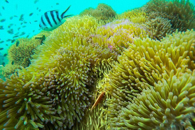 Full Day Phu Quoc Canoe and Cable Car Guided Tour - Practicalities: What You Need to Know