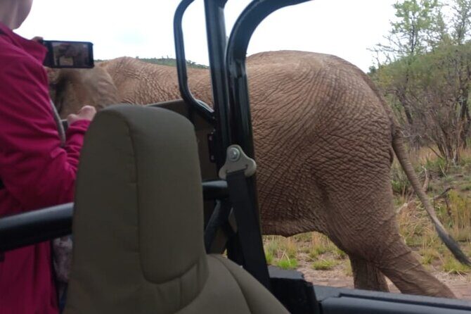 Full Day Pilanesberg Experience in Open Vehicle - The Itinerary: Breaking Down the Day