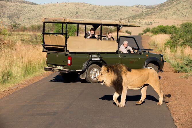 Full Day Pilanesberg Experience in Open Vehicle - Conclusions