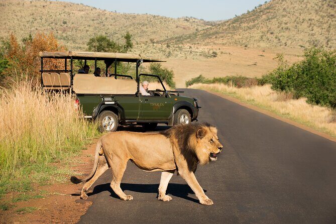 Full Day Pilanesberg Experience in Open Vehicle - FAQ