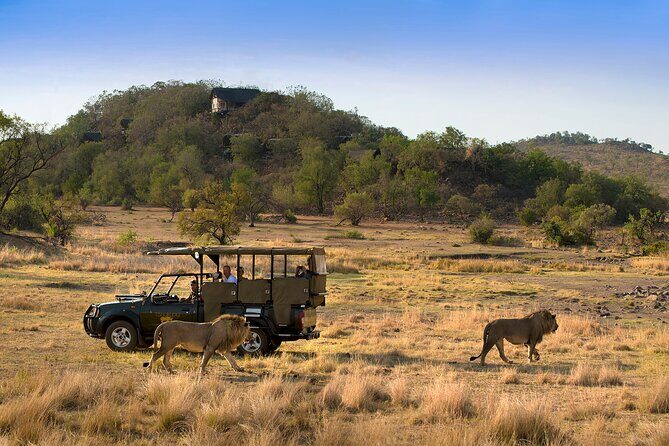 Full Day Pilanesberg Safari Adventure - Exploring the Full Day Pilanesberg Safari Adventure