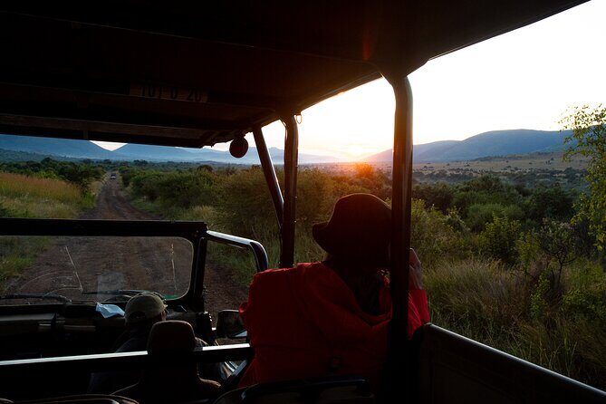 Full Day Pilanesberg Safari Adventure - Who Should Consider This Tour?