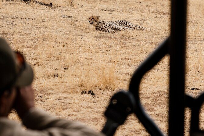 Full Day Pilanesberg Safari Adventure - The Sum Up