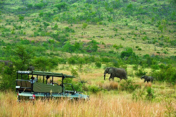 Full Day Pilanesberg Safari Adventure - FAQ