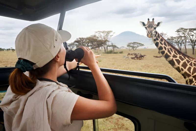 Full-Day Pilanesberg Safari from Sun City - Who Is This Tour Best For?