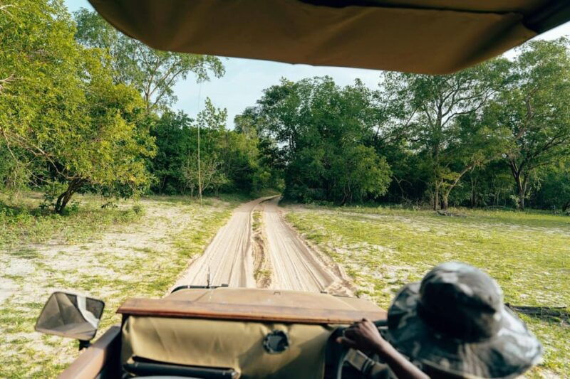 full-day-pilanesberg-safari-from-sun-city
