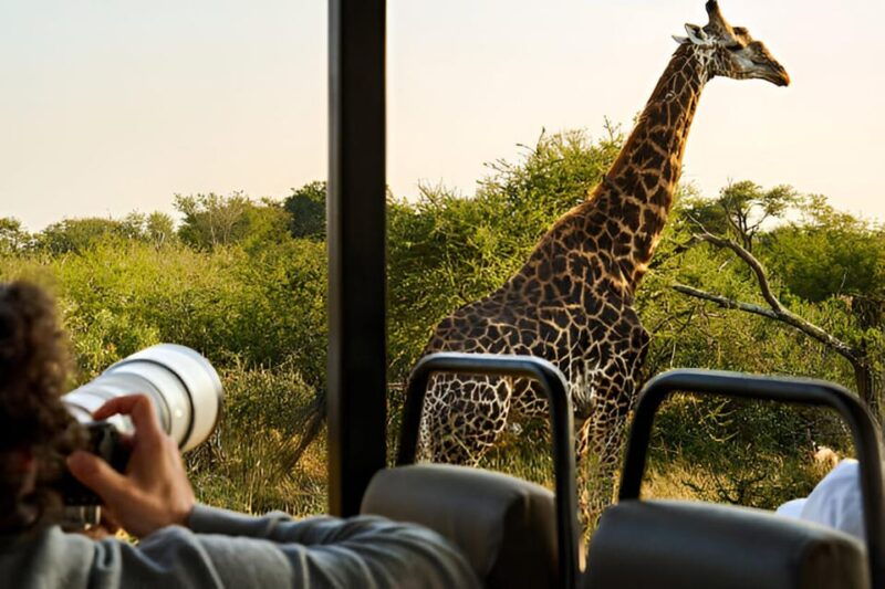 full-day-pilanesberg-safari-from-sun-city