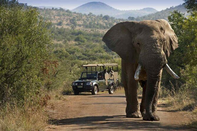 Full day Pilanesberg Safari Tour - Transportation and Group Size