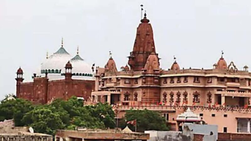 Full-Day Pilgrimage: Explore Mathura & Vrindavan from Delhi - Authentic Experiences & Hidden Gems