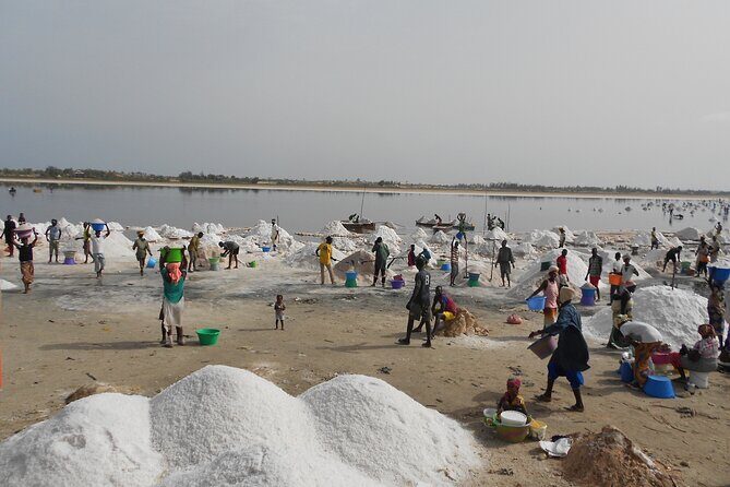 Full-Day PINK LAKE and FISHING VILLAGE combination - The Value of This Tour