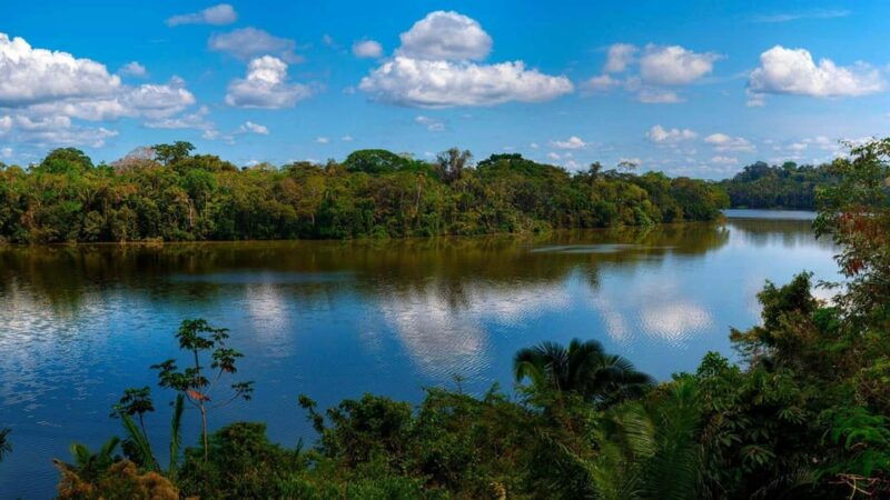 full-day-piranha-fishing-excursion-in-tambopata