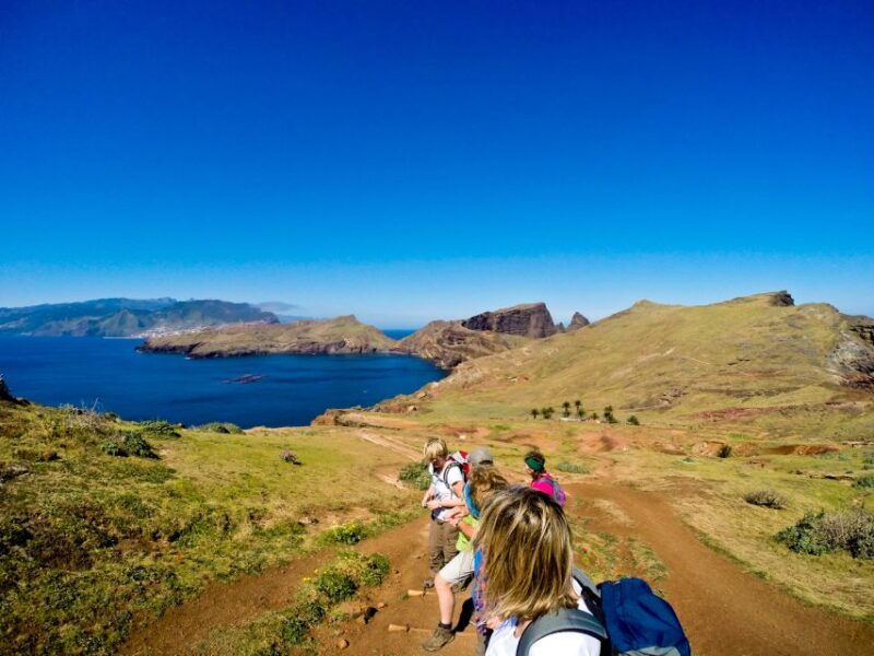 full-day-ponta-de-sao-lourenco-natural-reserve