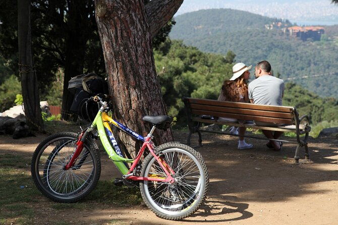 full-day-princess-island-tour-lunchtranfer-and-by-boat-istanbul