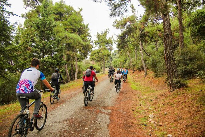 full-day-princess-island-tour-lunchtranfer-and-by-boat-istanbul