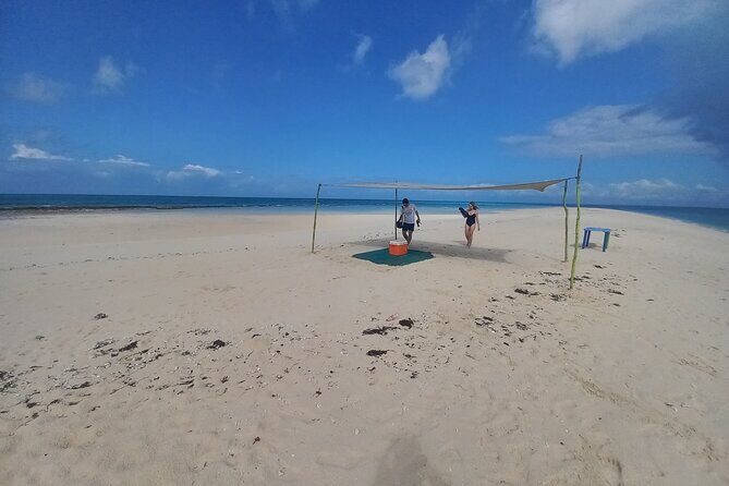 Full-day Prison Island and Nakupenda Sandbank with Lunch buffet - An In-Depth Look at the Tour Experience