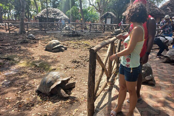 Full-day Prison Island, Nakupenda and Stone Town Tour with Lunch Buffet - Who Would Love This Tour?