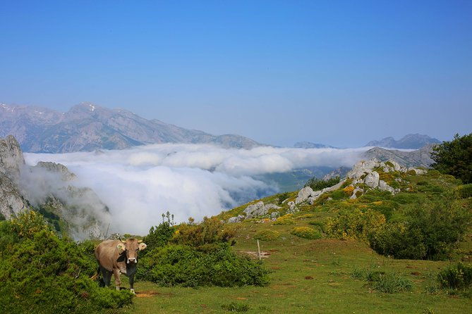 full-day-private-4wd-tour-from-bilbao-to-picos-de-europa-fine-meals