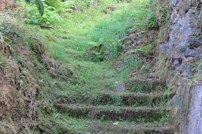 full-day-private-4x4-adventure-in-madeira