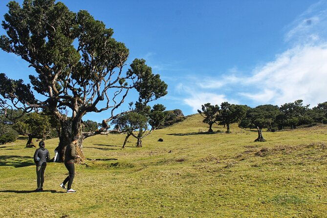 full-day-private-4x4-tour-in-west-madeira-with-local-guide