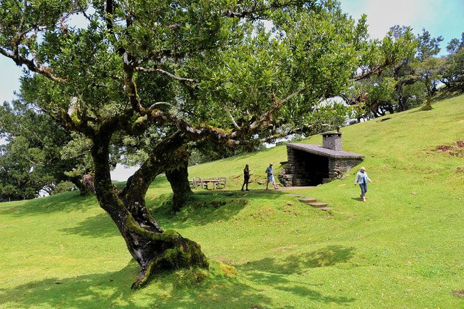 full-day-private-4x4-tour-in-west-madeira-with-local-guide