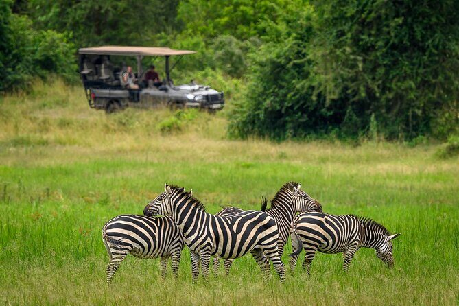 Full-Day Private Akagera National Park Tour with Lunch - The Itinerary in Detail