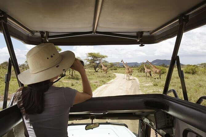Full-Day Private Akagera National Park Tour with Lunch - The Sum Up: Is This Tour Right For You?