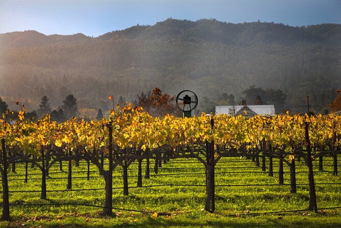 full-day-private-amador-county-wine-tour-from-san-francisco