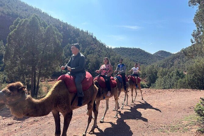 Full-Day Private Atlas Tour from Marrakech to Ourika Valley. - FAQ
