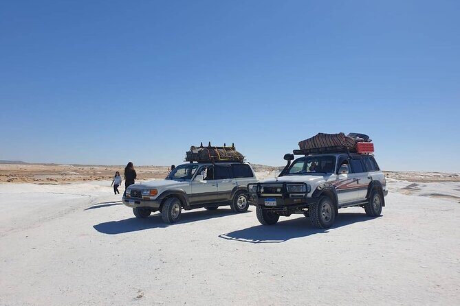 Full Day Private Bahariya Oasis and White Desert Tour from Cairo - The Itinerary in Detail: What to Expect