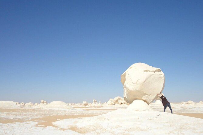 Full Day Private Bahariya Oasis and White Desert Tour from Cairo - What Reviewers Say