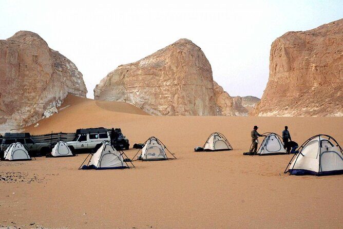 Full Day Private Bahariya Oasis and White Desert Tour from Cairo - FAQs
