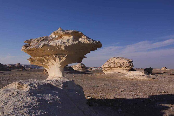 Full Day Private Bahariya Oasis and White Desert Tour from Cairo - In Closing
