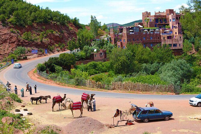 Full Day Private Berbere Experience in High Atlas - Final Thoughts