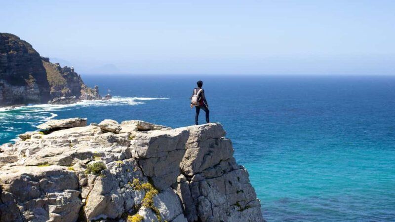 Full-Day Private: Best of the Cape - What You Can Expect from the Experience