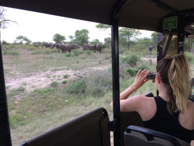 Full-Day Private Big 5 Safari in Kruger National Park - Key Points