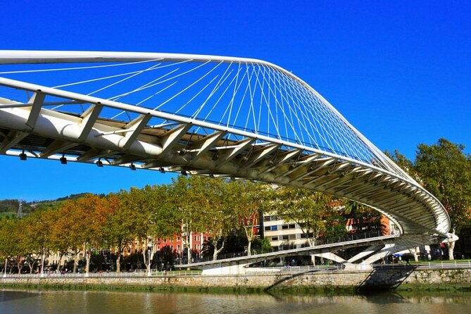full-day-private-bilbao-tour-guggenheim-museum-full-pintxo-lunch-included